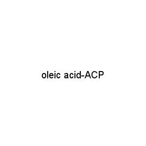 oleic acid-ACP